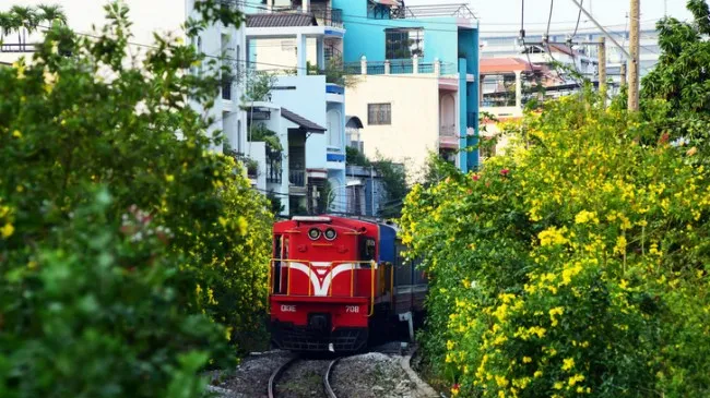 Điểm tin chiều 8/4: TPHCM biến đường sắt thành đường hoa dài nhất Việt Nam 1