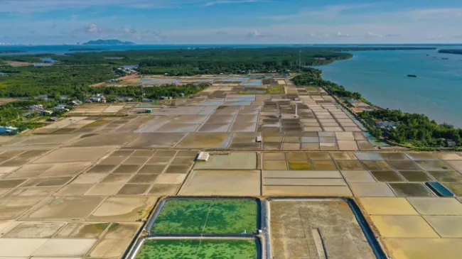 Kỳ vọng “siêu cảng” trung chuyển quốc tế tại Cần Giờ 1