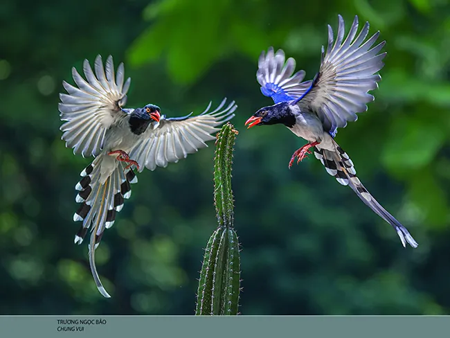 Gia Định 1 trình làng “Cung bậc tháng Tư