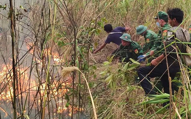 Lại cháy rừng ở Sơn La dưới thời tiết nắng nóng 1