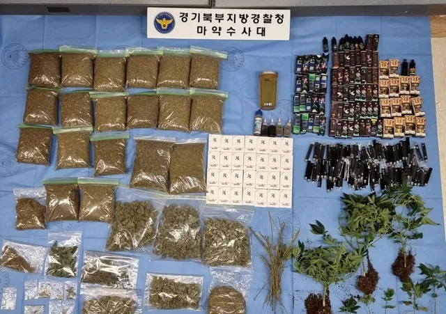 Hàn Quốc tăng ngân sách chống ma túy 1