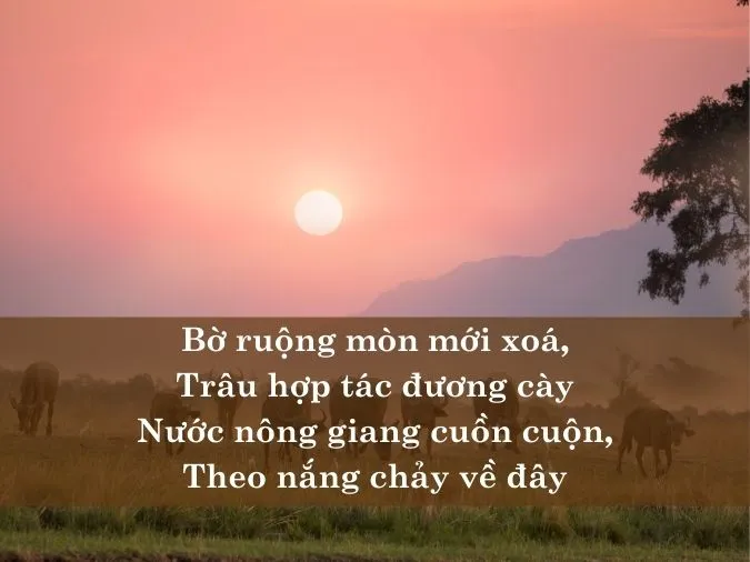 tho-nguyen-binh-voh-12