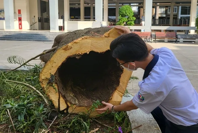 trường THPT Bùi Thị Xuân