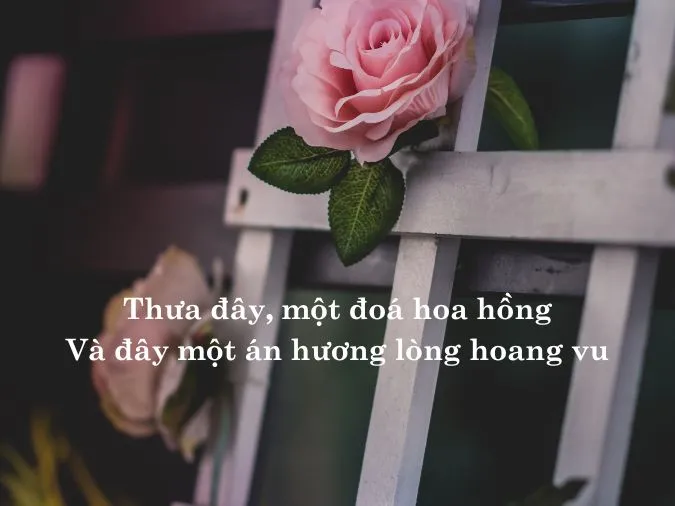 tho-nguyen-binh-voh-13