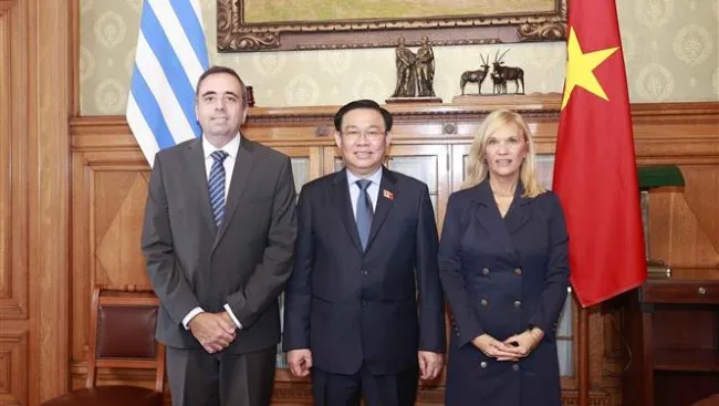 Việt Nam - Uruguay duy trì đà tăng trưởng, mở rộng hợp tác 2