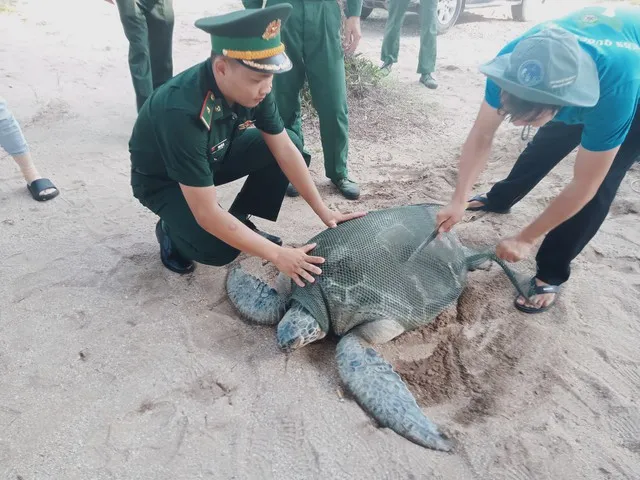 Điểm tin chiều 7/5: Đinh tặc lộng hành tại Thủ Đức | Dân gồng mình dưới cái nắng như đổ lửa 5