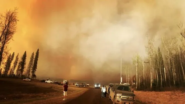 Canada: Cháy rừng vượt tầm kiểm soát với 27 đám cháy lớn nhỏ 1