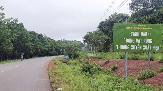 Thủ tướng đồng ý phương án làm đường không đi qua cầu Mã Đà 1