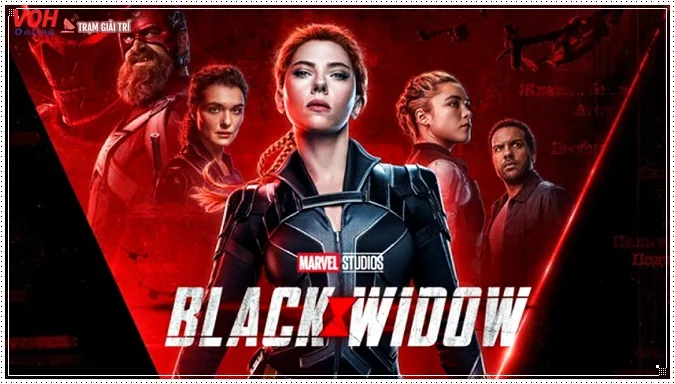 Poster phim Black Window (2021)
