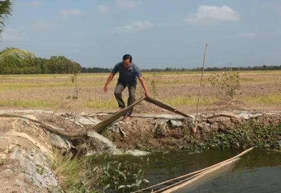 Cần chủ động trữ nước ngọt cho sinh hoạt trong mùa khô 2024 1
