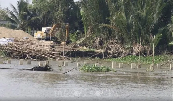 Sạt lở nghiêm trọng tại khu vực bến phà Tân Long (Tiền Giang) 1