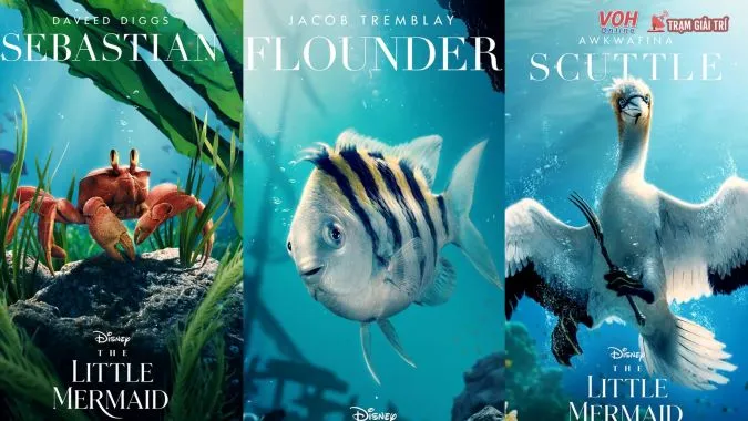 The Little Mermaid review: Thước phim đẹp về tuyệt sắc thiên nhiên dưới biển sâu 11