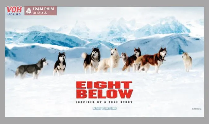 Eight Below – Những Chú Chó Dũng Cảm  (2006)