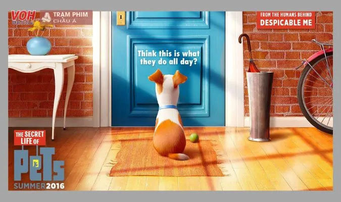 The Secret Life Of Pets - Cuộc Sống Bí Mật Của Thú Cưng (2016)