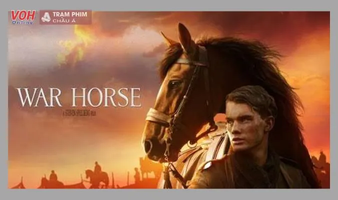 War Horse - Ngựa Chiến (2011)