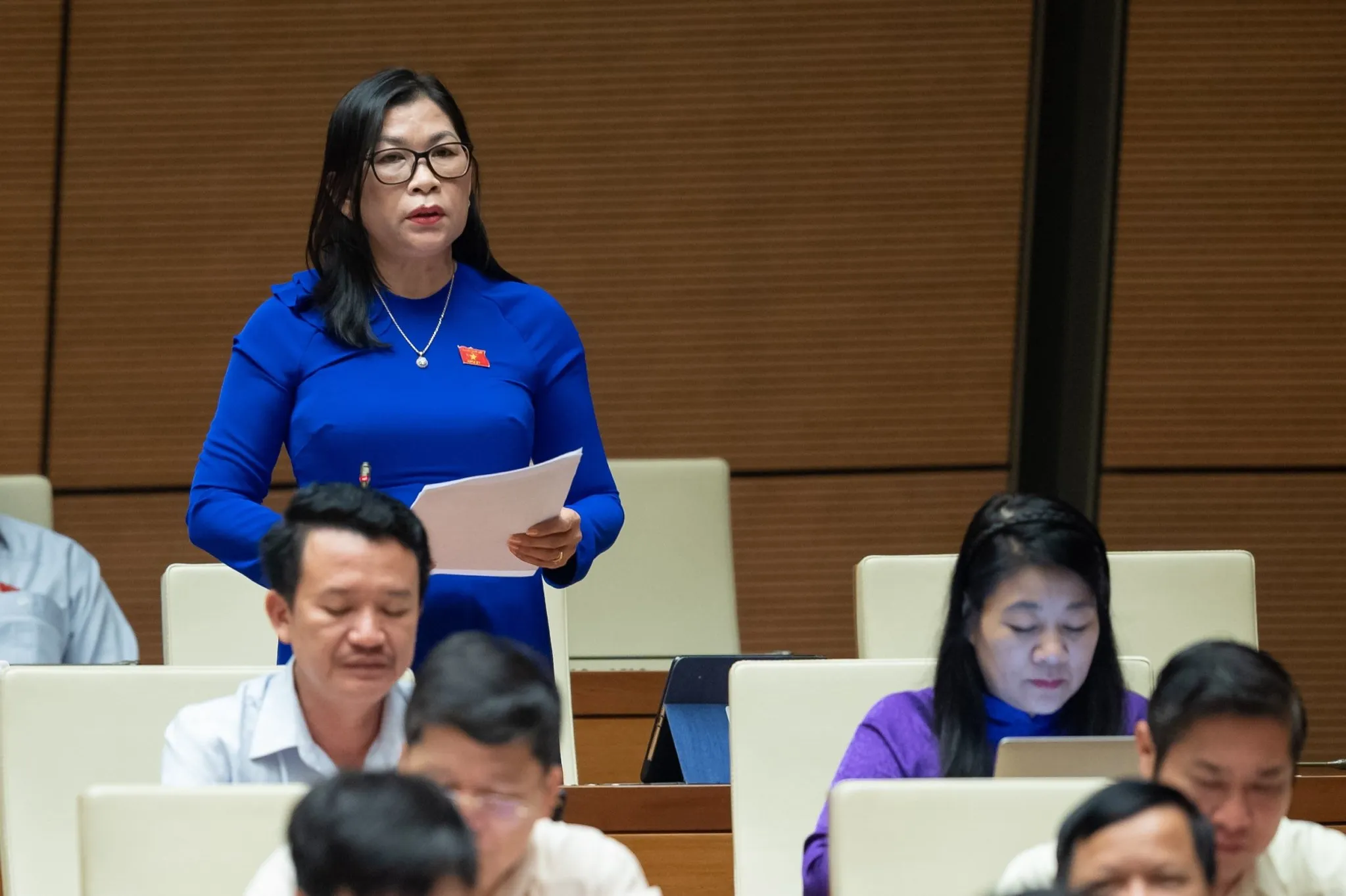 Đại biểu Bố Thị Xuân Linh - Đoàn Bình Thuận