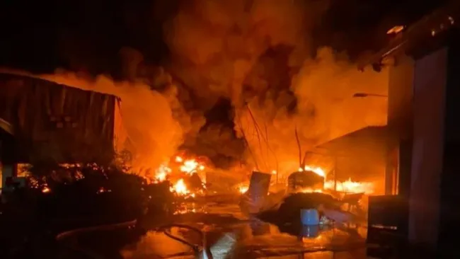 Nhiều tài sản bị thiêu rụi trong vụ cháy phân xưởng ở Long An 1