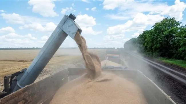 EU gia hạn các biện pháp hạn chế nhập khẩu ngũ cốc Ukraine 1