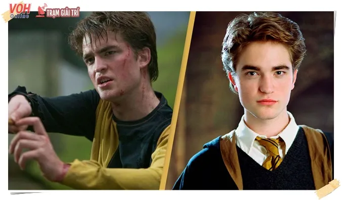 [xong] Dàn diễn viên phim 'Harry Potter' ngày ấy và bây giờ 13