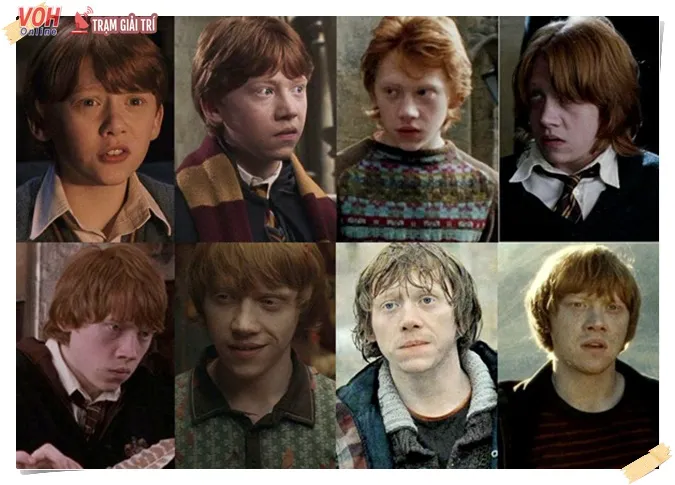 [xong] Dàn diễn viên phim 'Harry Potter' ngày ấy và bây giờ 6