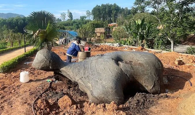 Nghệ An: Tảng đá hình con rùa được trả giá 1 tỷ đồng 2