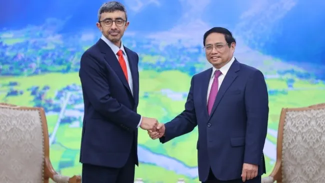 Doanh nghiệp UAE mong muốn tăng cường, nâng tầm hợp tác với Việt Nam 1