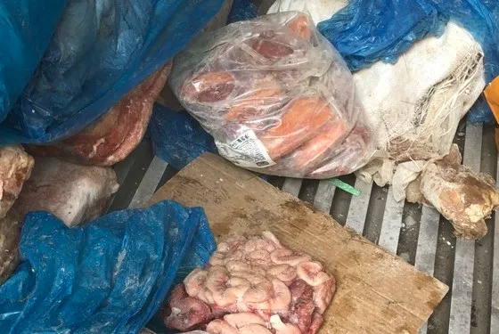 Phát hiện 10 tấn nội tạng và thịt động vật trôi nổi 1