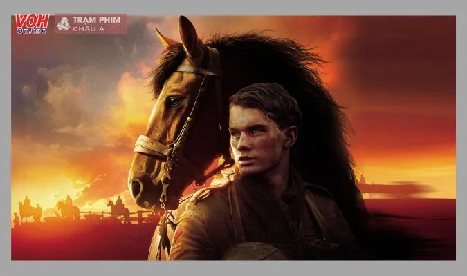War Horse - Ngựa Chiến