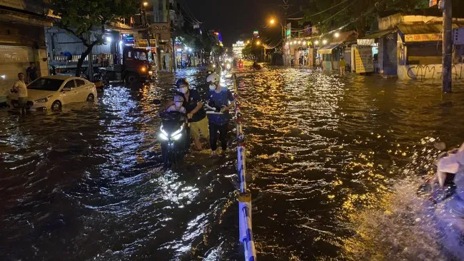 TPHCM: Mưa lớn gây ngập nặng, cây đổ khắp nơi 4