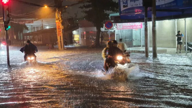 TPHCM: Mưa lớn gây ngập nặng, cây đổ khắp nơi 3