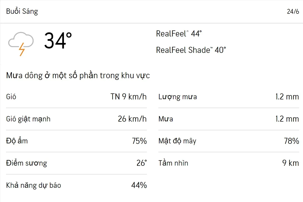 Dự báo thời tiết TPHCM hôm nay 24/6 và ngày mai 25/6/2023: Chiều có mưa 1