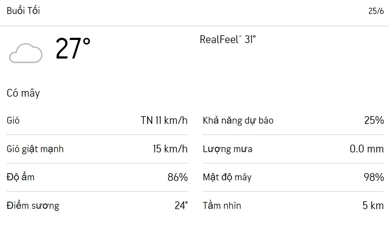 Dự báo thời tiết TPHCM hôm nay 25/6 và ngày mai 26/6/2023: Trưa chiều có mưa 6