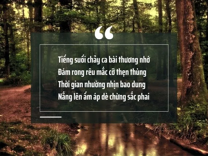 35 bài thơ về suối rừng nuôi dưỡng tâm hồn và tình yêu quê hương, đất nước 1