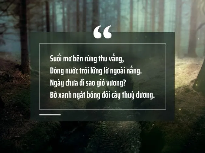 35 bài thơ về suối rừng nuôi dưỡng tâm hồn và tình yêu quê hương, đất nước 2