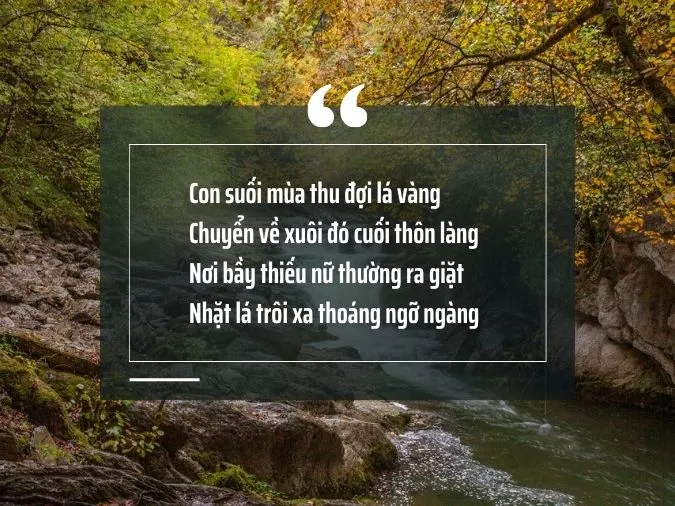 35 bài thơ về suối rừng nuôi dưỡng tâm hồn và tình yêu quê hương, đất nước 7