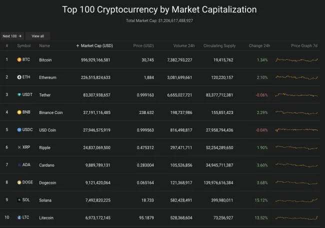 Giá Bitcoin hôm nay 30/6/2023: Tiến sát 31.000 USD 2