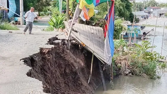 An Giang: Kênh 10 Châu Phú bị sạt lở 1