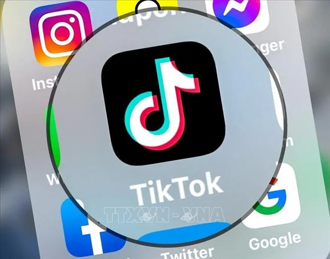 TikTok vượt Instagram, chỉ sau Facebook tại Nam Phi 1