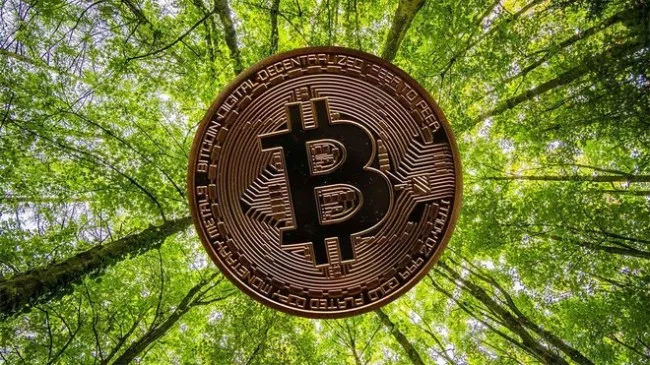 Giá Bitcoin hôm nay 3/7/2023: Tăng mạnh, nhuộm xanh toàn sàn 3