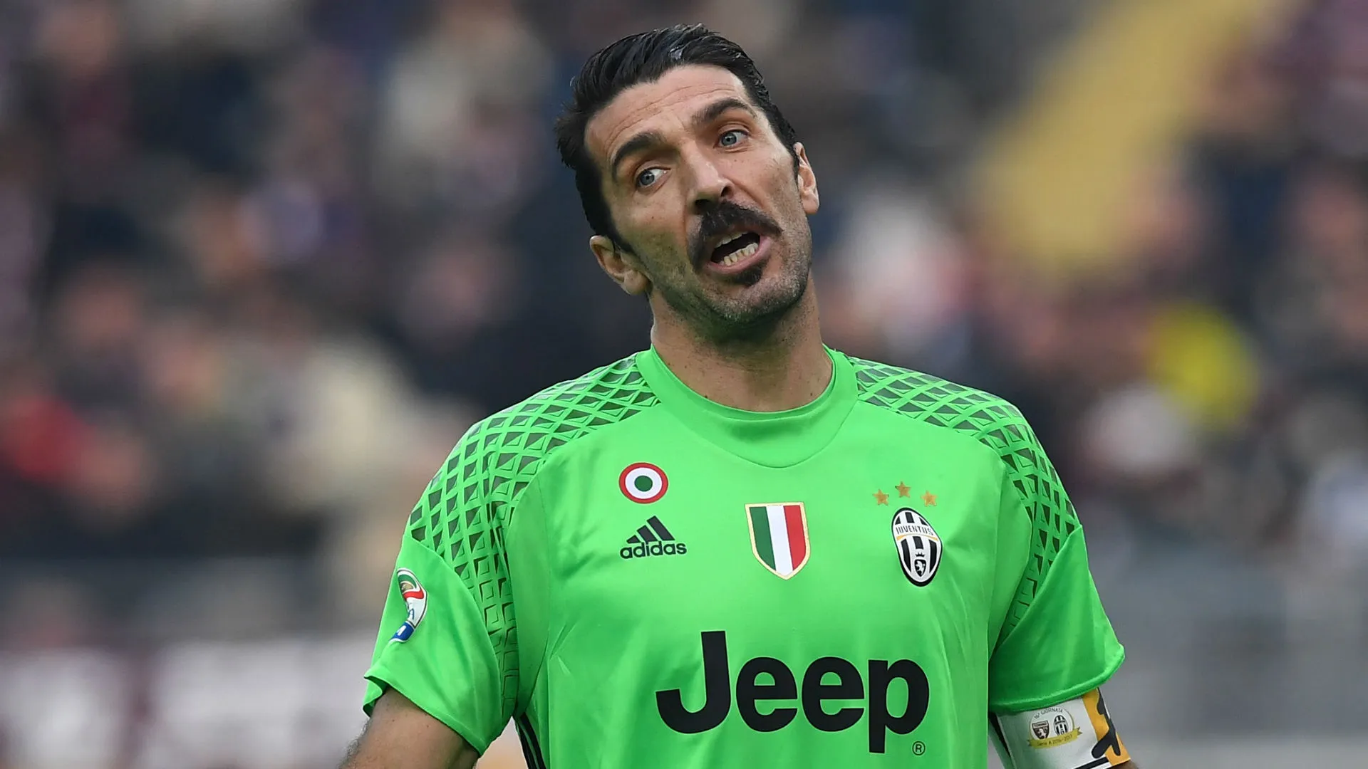 buffon