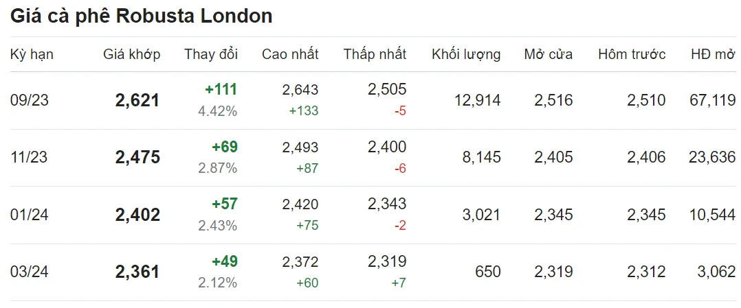 Giá cà phê hôm nay 8/7/2023: Vọt tăng, sắc xanh bao phủ thị trường 2