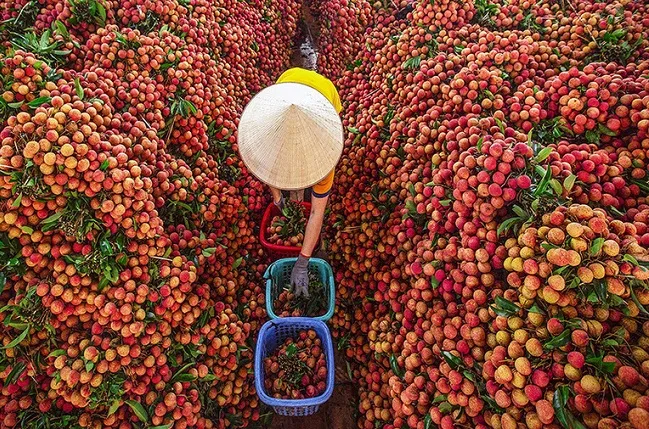 Điểm tin sáng 8/7: Kon Tum tiếp tục bị động đất | Nguy cơ sạt lở nghiêm trọng từ mỏ đất nông nghiệp ở Đồng Nai 3