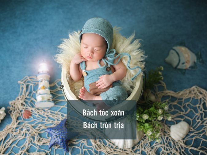 ten-bach-voh-3