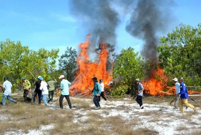 Quảng Trị ứng trực 24/24 phòng chống cháy rừng 1