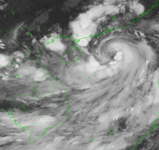 Theo Trung tâm Dự báo KTTV phát lúc 19h15 tối nay 16/7 Vị trí tâm bão (lúc 19 giờ ngày 16/7): khoảng 19.5 độ Vĩ Bắc ; 114.6 độ Kinh Đông.Sức gió mạnh nhất: cấp 11 (103-117km/h), giật cấp 14. Dự báo: trong 3 giờ tới, bão di chuyển theo hướng Tây Tây Bắc với tốc độ khoảng 15km/h.