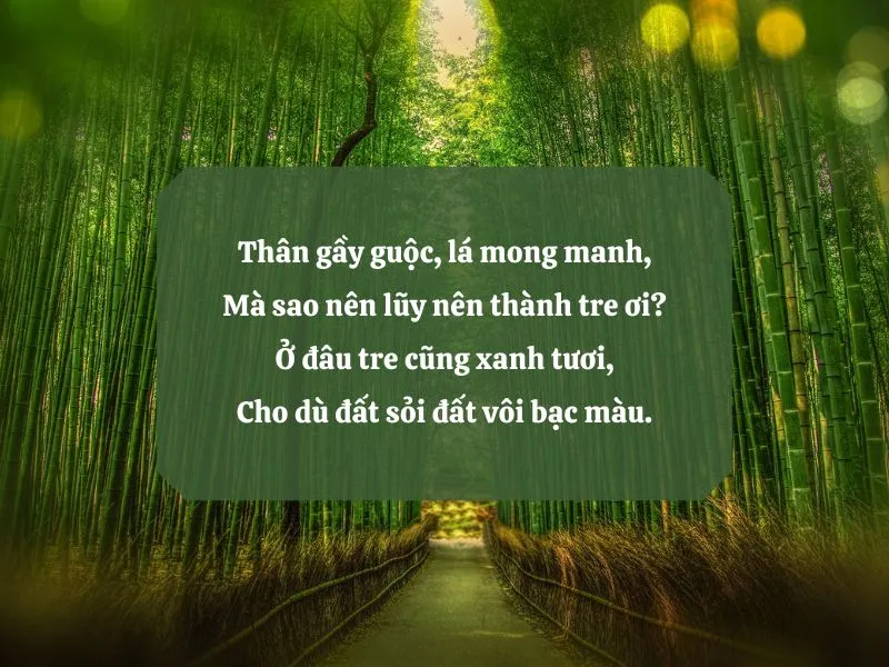 18 bài thơ cây tre Việt Nam thể hiện tình yêu quê hương, đất nước 2