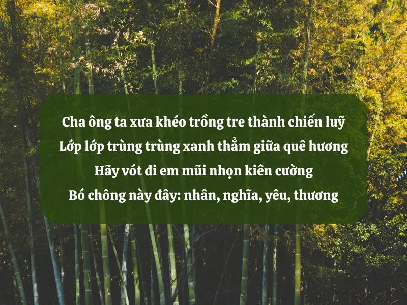 18 bài thơ cây tre Việt Nam thể hiện tình yêu quê hương, đất nước 6