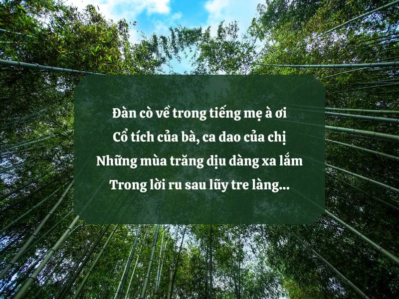 18 bài thơ cây tre Việt Nam thể hiện tình yêu quê hương, đất nước 5