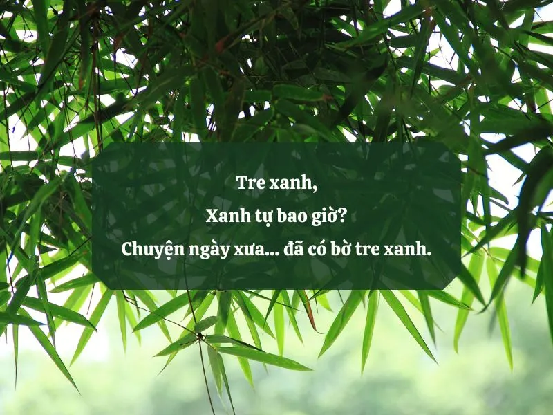 18 bài thơ cây tre Việt Nam thể hiện tình yêu quê hương, đất nước 1