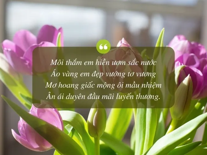 tho-ve-hoa-tulip-voh-1